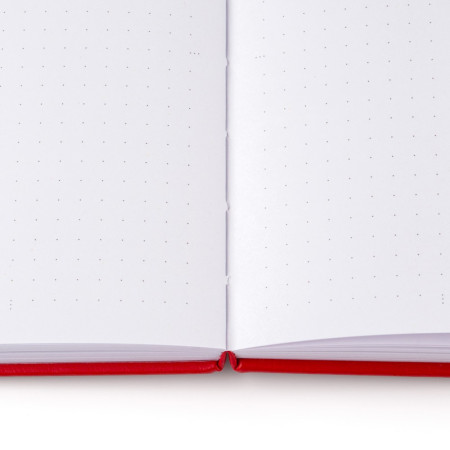 Блокнот для записей Стихия Bullet Journal 100 г/м2, 14 x 20 см, 80 л, жесткая обложка, красный NP-ST04058