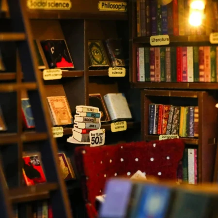Румбокс: Книжный магазин (букнук) HD-M2314