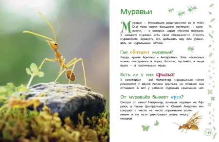 Книга: Животные. Большая детская энциклопедия EKS-713713