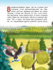 Книга: Медвежонок - привереда (ил. автора) EKS-910273