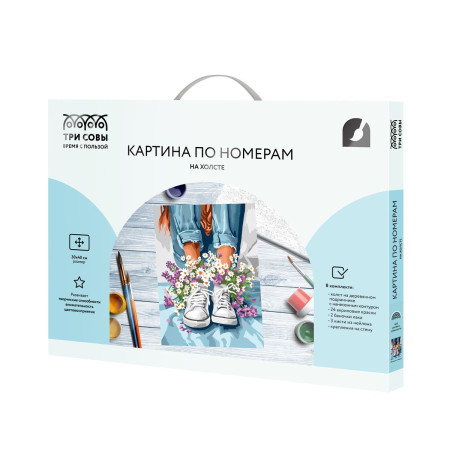 Картина по номерам на холсте ТРИ СОВЫ "Ромашки в кедах" 30 x 40 см, краски и кисть RE-КХ3040_53881