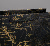 Пакет ламинированный вертикальный "Gold present" ML 23 x 27 x 11.5 см SIM-4733866