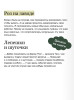 Книга: Спасение дикого робота (Paperback) EKS-504398
