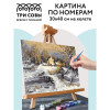 Картина по номерам на холсте ТРИ СОВЫ "Зима" 30 x 40 см, краски, кисть RE-КХ_44127