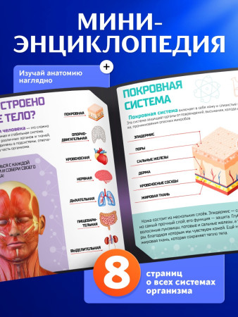 Набор для опытов ЭВРИКИ "Строение тела" №SL-00702B 2772939