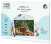 Картина по номерам на картоне ТРИ СОВЫ "Тигр" 30 x 40 см с акриловыми красками и кистями RE-КК_44027