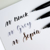 Фломастер-кисть PENTEL Brush Sign Pen Pigment 1 шт пулевидный черный SESP15-A