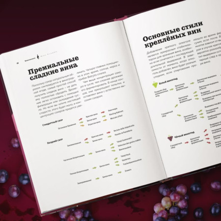 Книга: Виномания. Наглядный путеводитель по винному миру EKS-788339