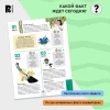 Книга: 1000 крутых фактов. Энциклопедия на каждый день ROS-39296