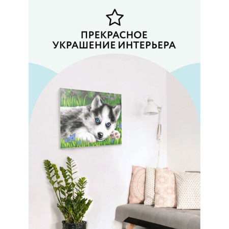 Картина по номерам на картоне ТРИ СОВЫ "Голубоглазый пушистик" 30 x 40 с акриловыми красками и кистями RE-КК_44043