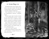 Книга: Зайчик и другие рассказы EKS-901332