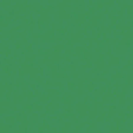 Фотокартон FOLIA 300 г/м2, 50×70 см, 1 лист, моховой зелёный FL-6153/1