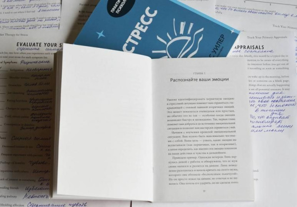 Книга: Эмоциональный баланс. 12 навыков, которые помогут обрести гармонию MIF-697336