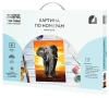 Картина по номерам на холсте ТРИ СОВЫ "Слон" 30 x 40 см с акриловыми красками и кистями RE-КХ_44085