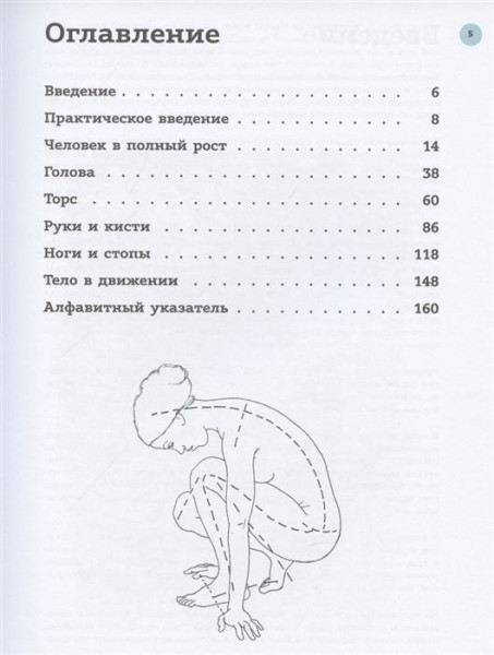 Книга: Анатомия для художников. Практический курс EKS-998876
