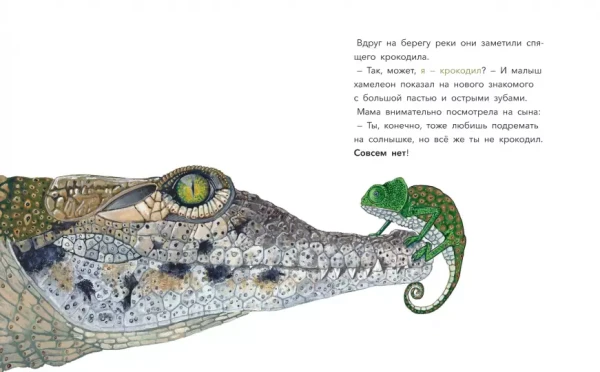 Книга: Большой вопрос маленького хамелеона MIF-466895