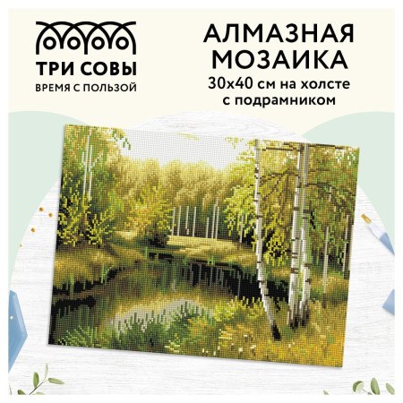 Алмазная мозаика ТРИ СОВЫ "Летний пейзаж" 30 x 40 см, холст на подрамнике RE-АМП3040_47592