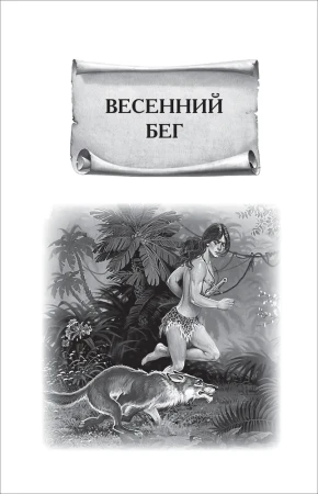 Книга: Киплинг Редьярд. Маугли (ВЧ) ROS-40204