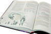 Настольная ролевая игра: Dungeons & Dragons. Руководство мастера подземелий MAG73602-R