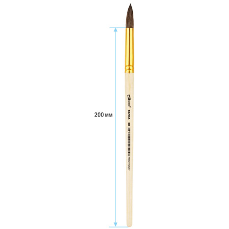 Кисть белка ArtSpace круглая №08, пакет, европодвес RE-SH8_14525