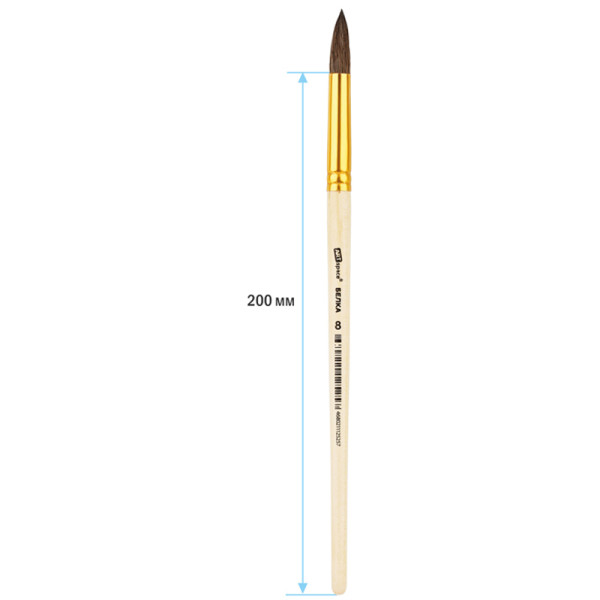 Кисть белка ArtSpace круглая №08, пакет, европодвес RE-SH8_14525