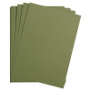Бумага цветная CLAIREFONTAINE Maya 120 г/м2 50 x 70 см 1 л, хаки (kaki) RH-97170C