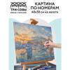 Картина по номерам на холсте ТРИ СОВЫ "Сочи" 40 x 50 см, краски, кисть RE-КХ_44160