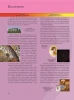 Книга: Космос. Полная энциклопедия EKS-798186