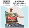 Картина по номерам на холсте ТРИ СОВЫ "В лето на кабриолете" 30 x 40 см с акриловыми красками и кистями RE-КХ_44122