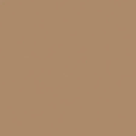 Фотокартон FOLIA 300 г/м2, 50×70 см, 1 лист, оленья кожа FL-6175/1