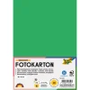 Фотокартон FOLIA 300 г/м2, 50×70 см, 1 лист, изумрудно-зелёный FL-6154/1