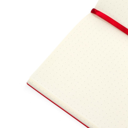 Набор подарочный "Стихия" Port red edition записная книжка А5 80л + шариковая ручка NP-ST07011