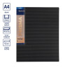 Папка с 60 вкладышами A4 Expert Complete "Prisma" 25 мм, 700 мкм, эффект 3D, 1 шт, черный EC211800001
