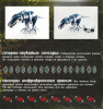 Робот WowWee Робораптор BLUE (Roboraptor Blue) TT-8017