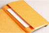 Блокнот RHODIA Goalbook A5 90 г/м2 120 л, в клетку, мягк.обл., на резинке, серебро RH-117761C