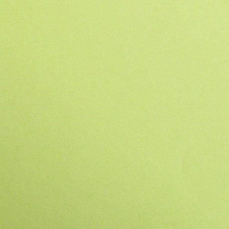 Бумага цветная CLAIREFONTAINE Maya 120 г/м2 50 x 70 см 1 л, зеленый мох (moss green) RH-97152C