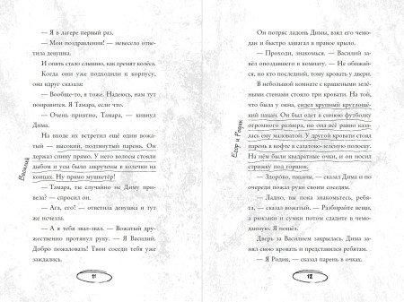 Книга: Летний лагерь. Райбер В. EKS-043482