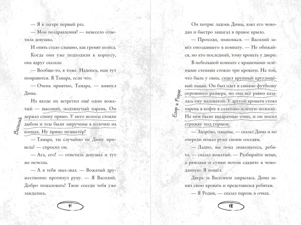 Книга: Летний лагерь. Райбер В. EKS-043482