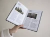 Книга: Главное в истории кино. Фильмы, жанры, приемы, направления MIF-693963