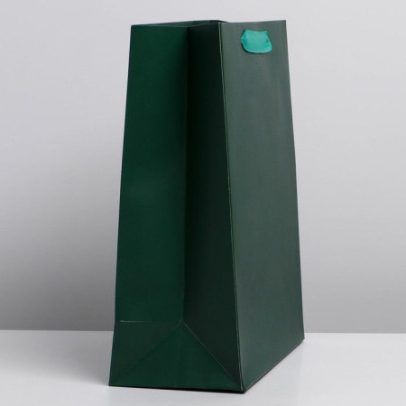 Пакет ламинированный "Изумрудный" ML 23 x 27 x 11.5 см SIM-7304179