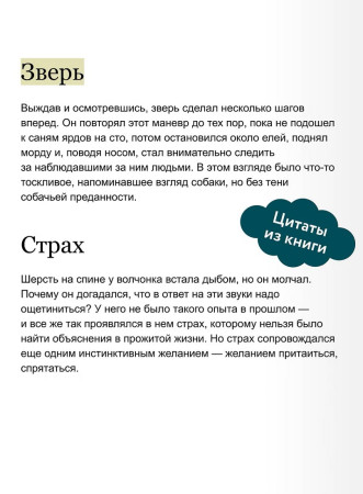 Книга: Белый клык. Серия Вечные истории EKS-504343