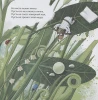 Книга: Орлова А. Секрет бабочки (НДК) ROS-34636