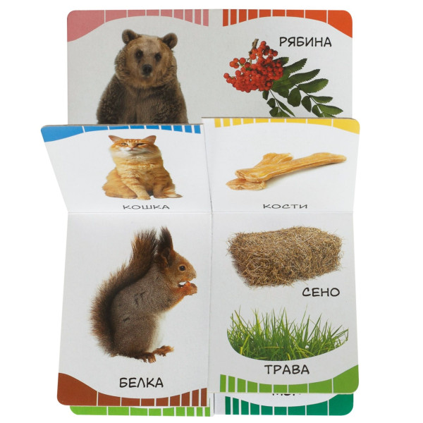 Книга: Кто что ест (Первые слова) ROS-32512
