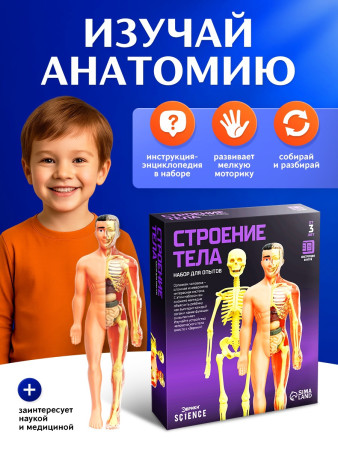 Набор для опытов ЭВРИКИ "Строение тела" №SL-00702B 2772939