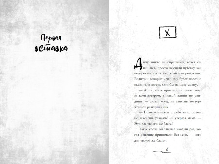 Книга: Летний лагерь. Райбер В. EKS-043482