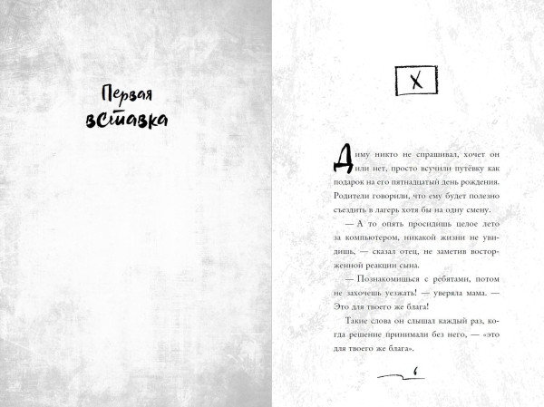 Книга: Летний лагерь. Райбер В. EKS-043482