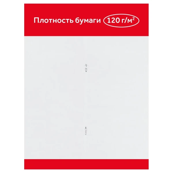 Альбом для рисования 32л. А4 ГАММА "Мультики" 120 г/м2 на скрепке RE-19122022_32
