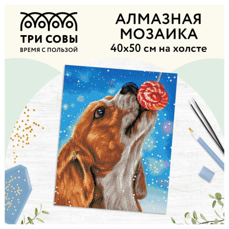 Алмазная мозаика ТРИ СОВЫ "Сладкая жизнь" 40 x 50 см, холст RE-АМ4050_47569