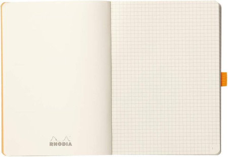 Блокнот RHODIA Goalbook A5 90 г/м2 120 л, в клетку, мягк.обл., на резинке, серебро RH-117761C
