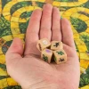 Настольная игра: Джуманджи Испытание MAG6062312